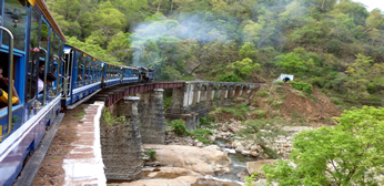 man made forest changha mangha tour
